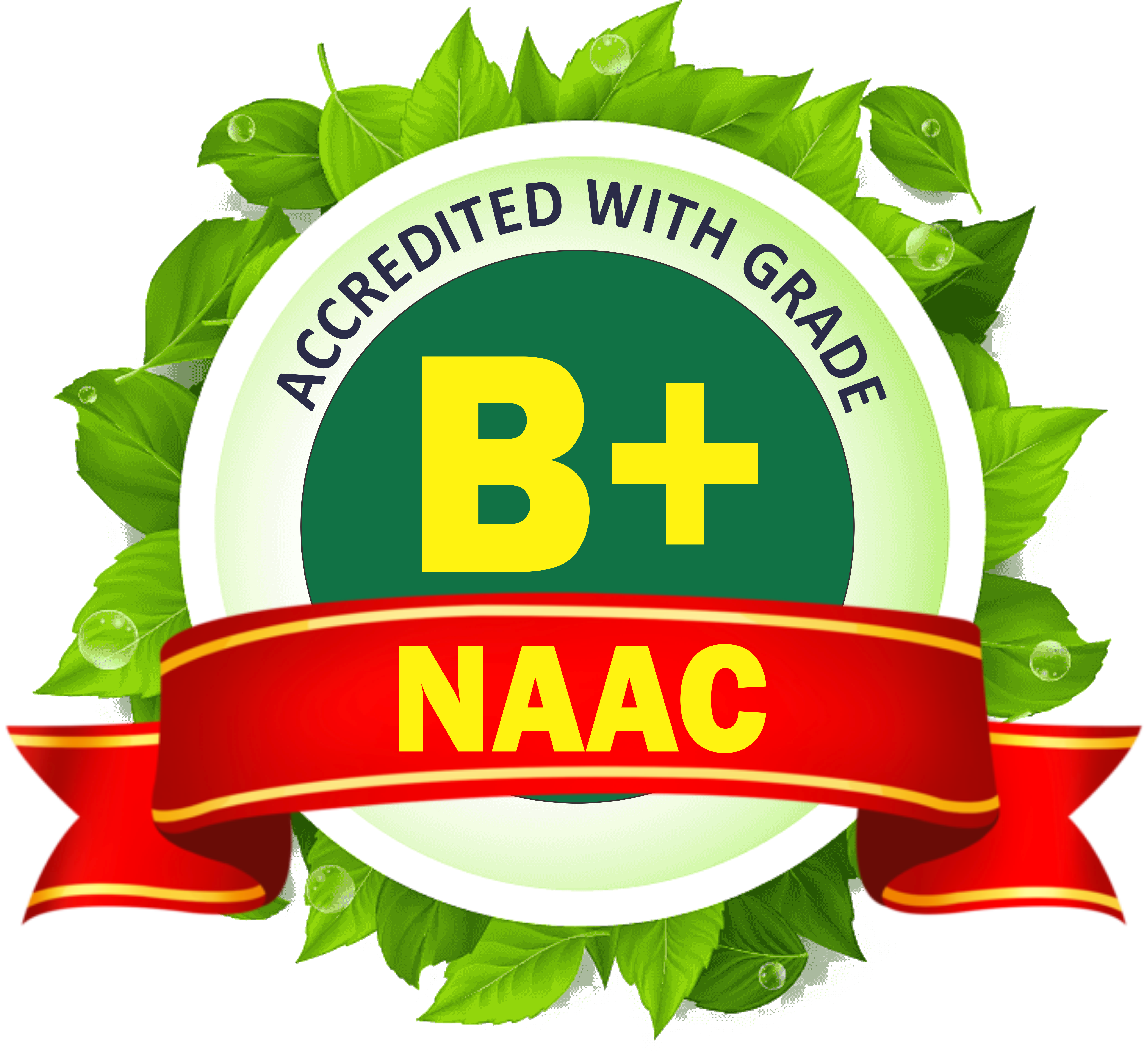 NAAC B+ Logo